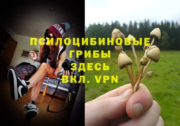 ешки Алексин