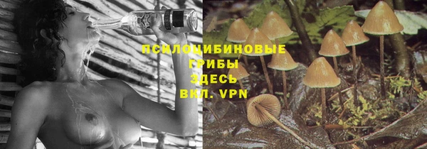 ешки Алексин