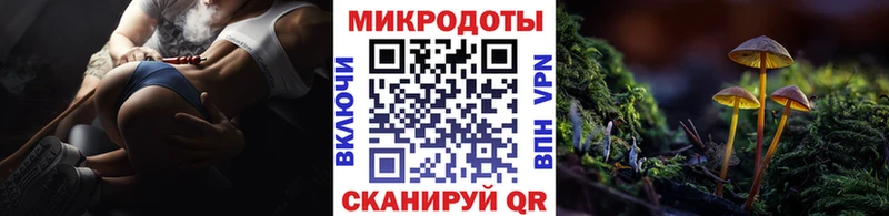Галлюциногенные грибы Magic Shrooms  Купить где  Ковров 